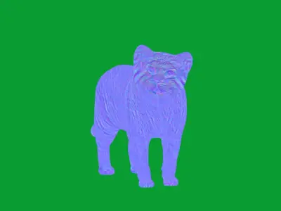 Pallas Manul Cat Breed Low-poly 3D model