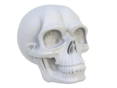 Decorative skull 3D model