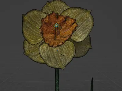 Flower Yellow Narcissus 3D model