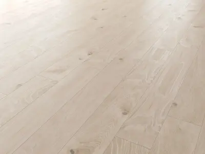 Wood Floor Set 01 Texture