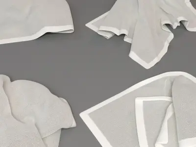 Towel Collection 2 napkin 3D model