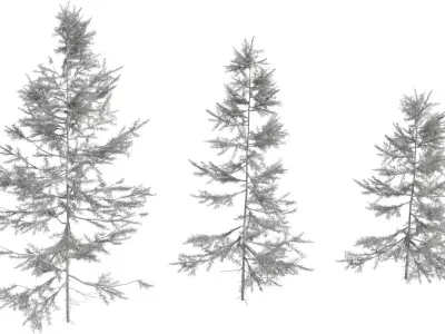 Photorealistic Pine Tree 3D Model Pack Low-poly 3D model