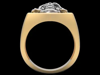 Skull Man Ring silver gold printable jewelry 3D print model