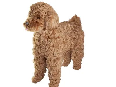 Poodle dog puppy 3D model