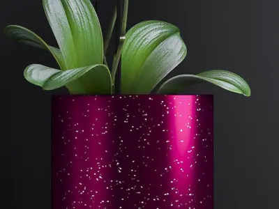 Orchid flower pot with in it 3D model