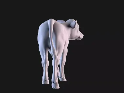 Calf Sculpture 3D print model