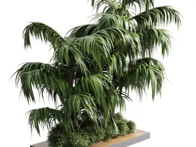 Collection Outdoor plant in garden tree palm- wood pot 02 Low-poly 3D model