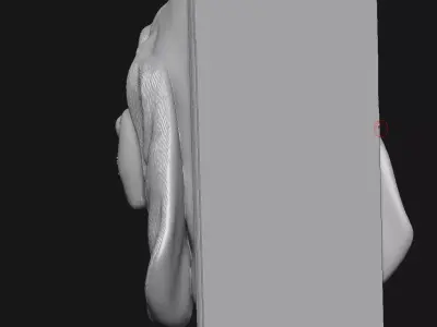 Basset Hound 3D print model