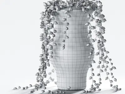 Succulents in pots - 3 models 3D model