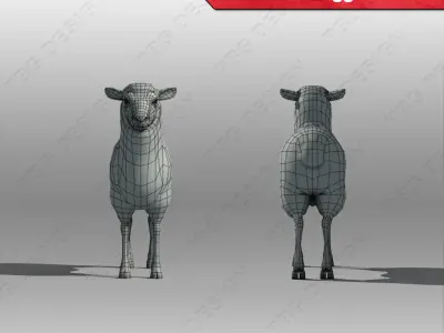 Sheep rigged 3D model