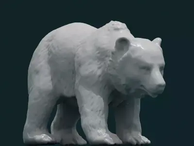 3D Bear polar 3D model