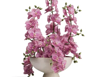 Sculpted Serenity Pink and White Orchids 3D model