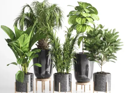 collection Indoor plant 34 -marble vase 3D model