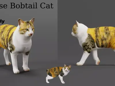 Japanese Bobtail Cat Low-poly 3D model