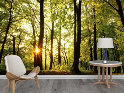 Photo Wallpaper No 4 Low-poly 3D model