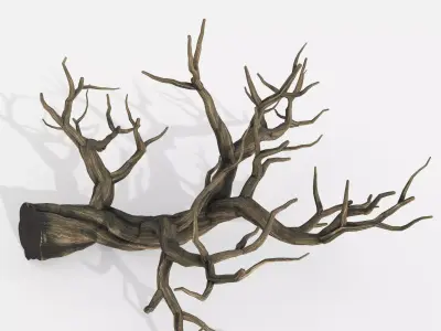 Aquarium Snag V22 3D model