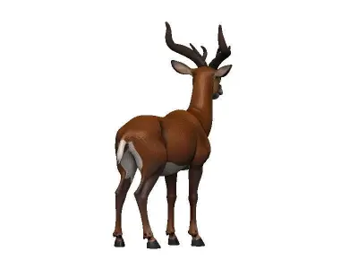 Okapi Low-poly 3D model