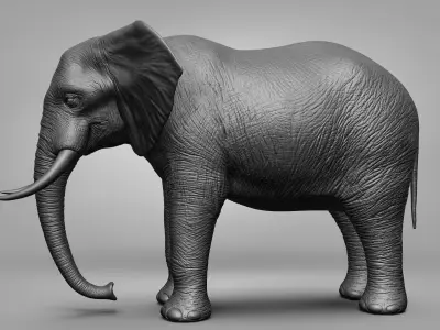 Wild animal collection 3D model