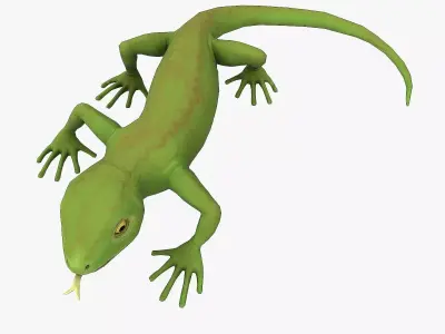 Lizard Rigged Low-poly 3D model