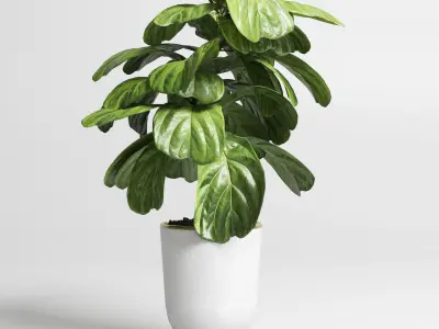 collection Indoor plant 39 -concrete vase Low-poly 3D model