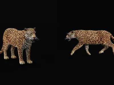 Amur Leopard Low-poly 3D model