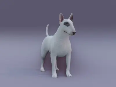 BullTerrier bull terrier 3D model