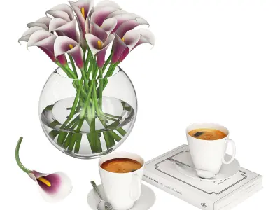 Calla Flowers 3D model