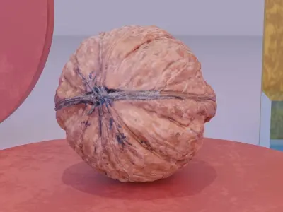 Walnut fruit 05 high-poly 3D model