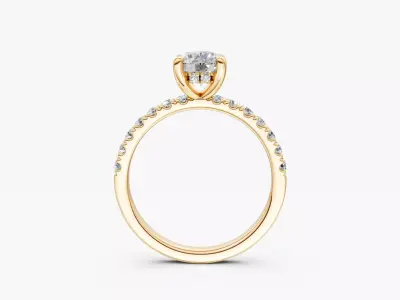 zjk r013 couple ring hidden halo ring  3D print model