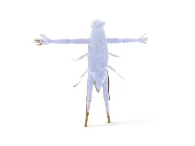 Bronze Insectoid Sculpture model pack Low-poly 3D model