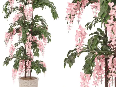 Elegant Cascading Pink Blossom tree 3D model