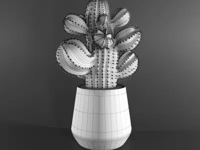 cactus in pot 3D model