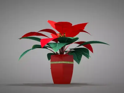 Poinsettia Parrot Beak Plant 3D model