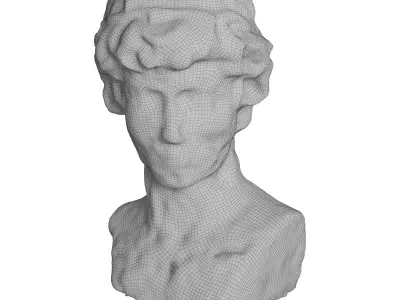 head sculpt Free low-poly 3D model