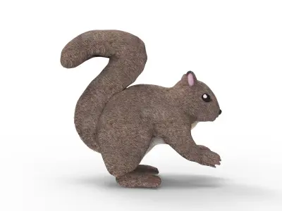 Squirrel 3D model get