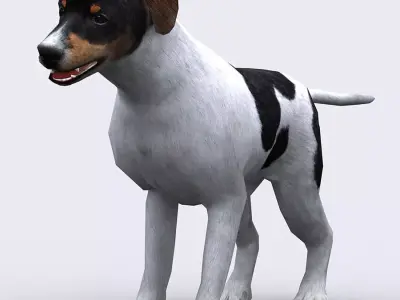 3DRT - Dog Low-poly 3D model
