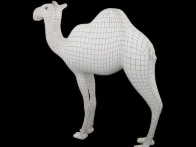 Camel cartoon in desert 3D model