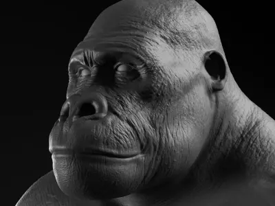 Gorilla - Highpoly Sculpture 3D model  3D model