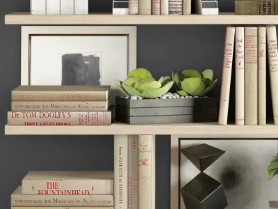 Decoration set bookshelves with cactus and plants 3D model