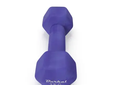 Dumbell-3kg 3D model