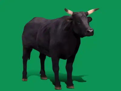Black Bull Cattle Low-poly 3D model