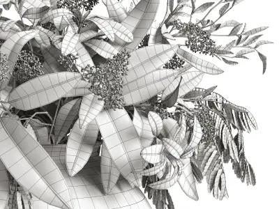 L aroma di Roma 3D model