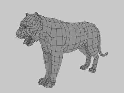 Tiger 3D model 3