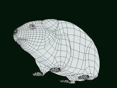 American Pika Rodent Low-poly 3D model