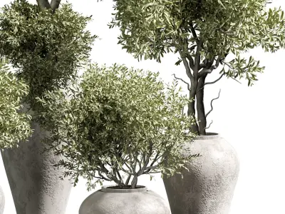 Indoor plant 14 3D model