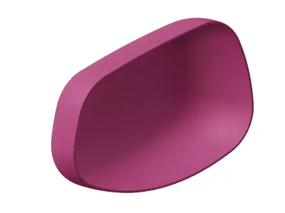 Plastic Premium Car Mirror Cover Toy 3D model