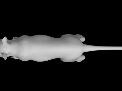 cat 3d model 3D model get