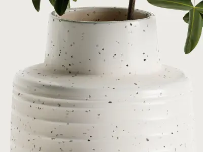 Holden Speckled White Vases 3D model