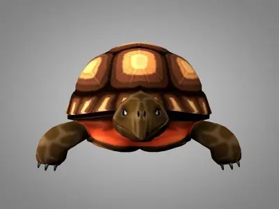 Turtle Low-poly 3D model