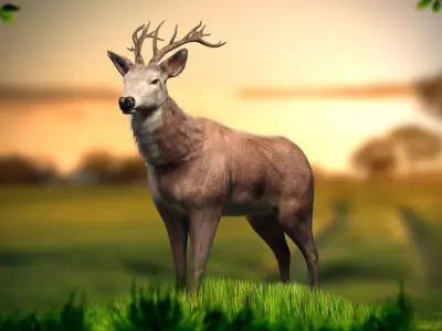 Animated Lowpoly Fur Deer Stag   Low-poly 3D model